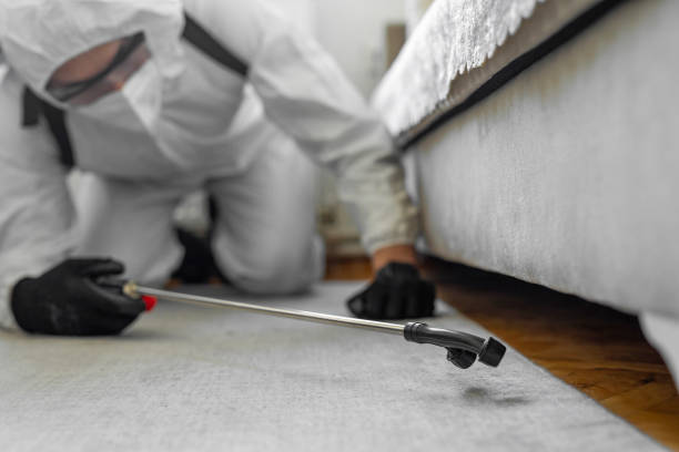 Professional Termite Control technician working in Wild Peach Village, TX