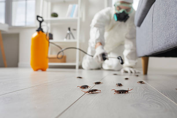 Trusted Fumigation Services service in Wild Peach Village, TX - Nex Pest Control