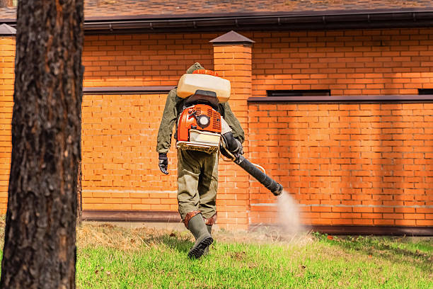 Trusted Mosquito Control service in Wild Peach Village, TX - Nex Pest Control